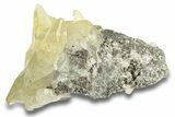 Calcite and Iridescent Chalcopyrite on Dolomite - Missouri #252138-1